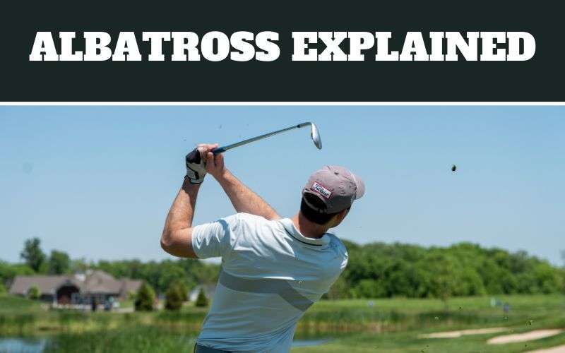 albatross in golf