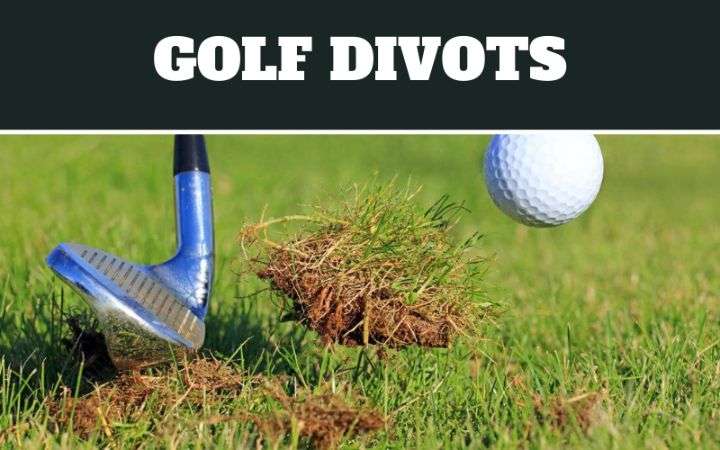 golf divots