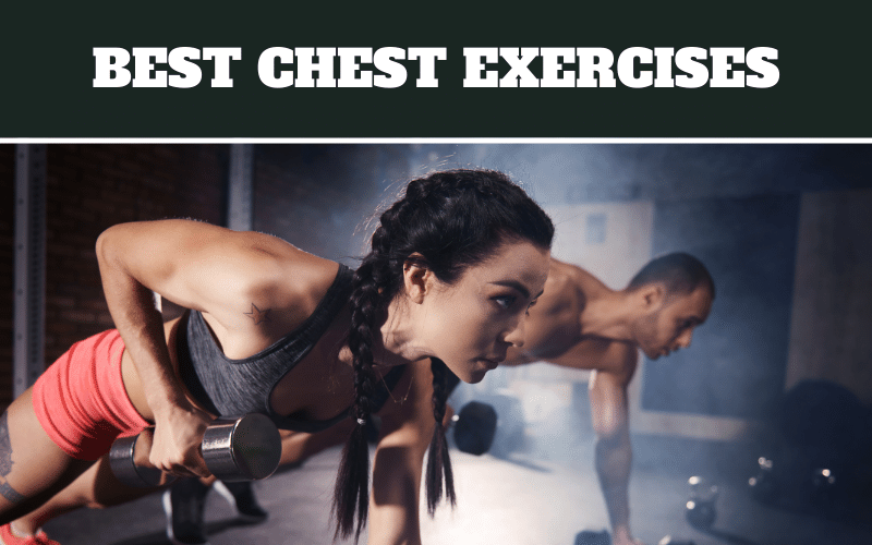 chest exercises